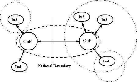 Network CoPs in a virtual environment